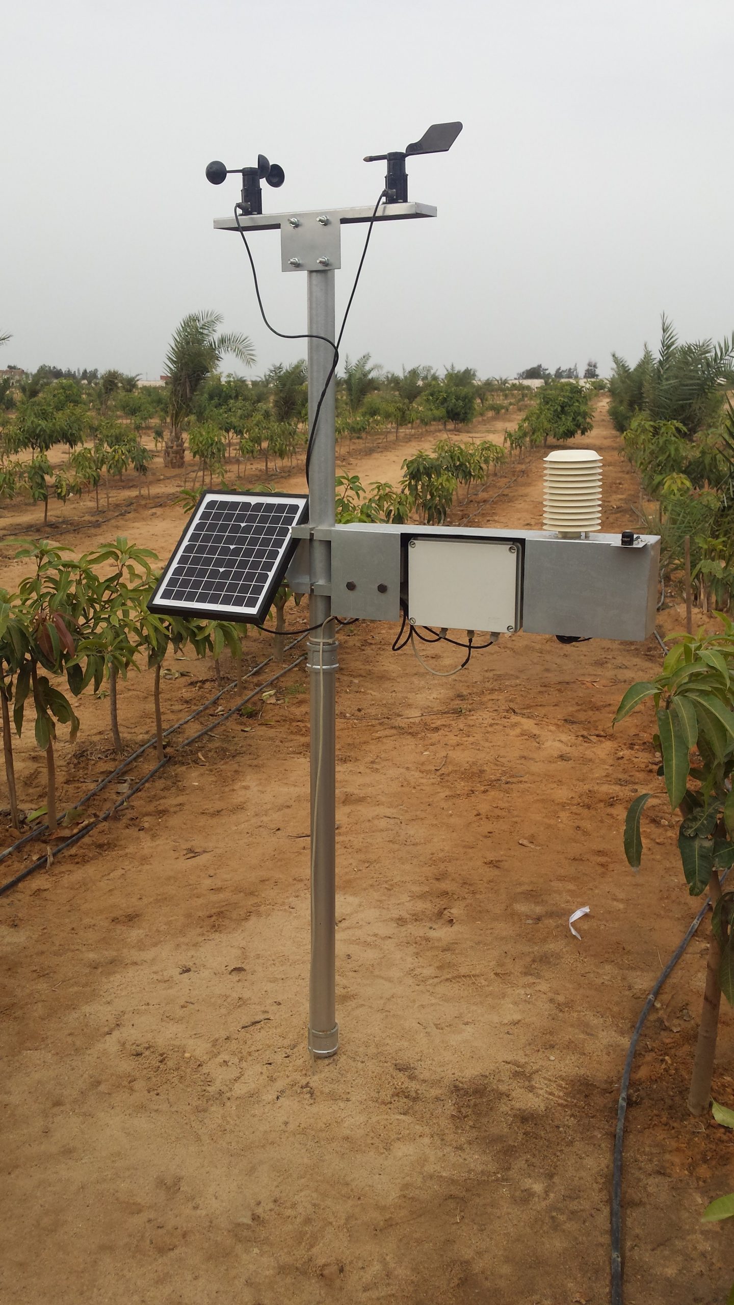 Portable Weather Station, For Agriculture